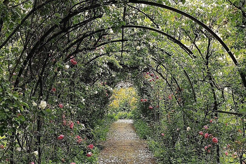 Zur Borstei in München