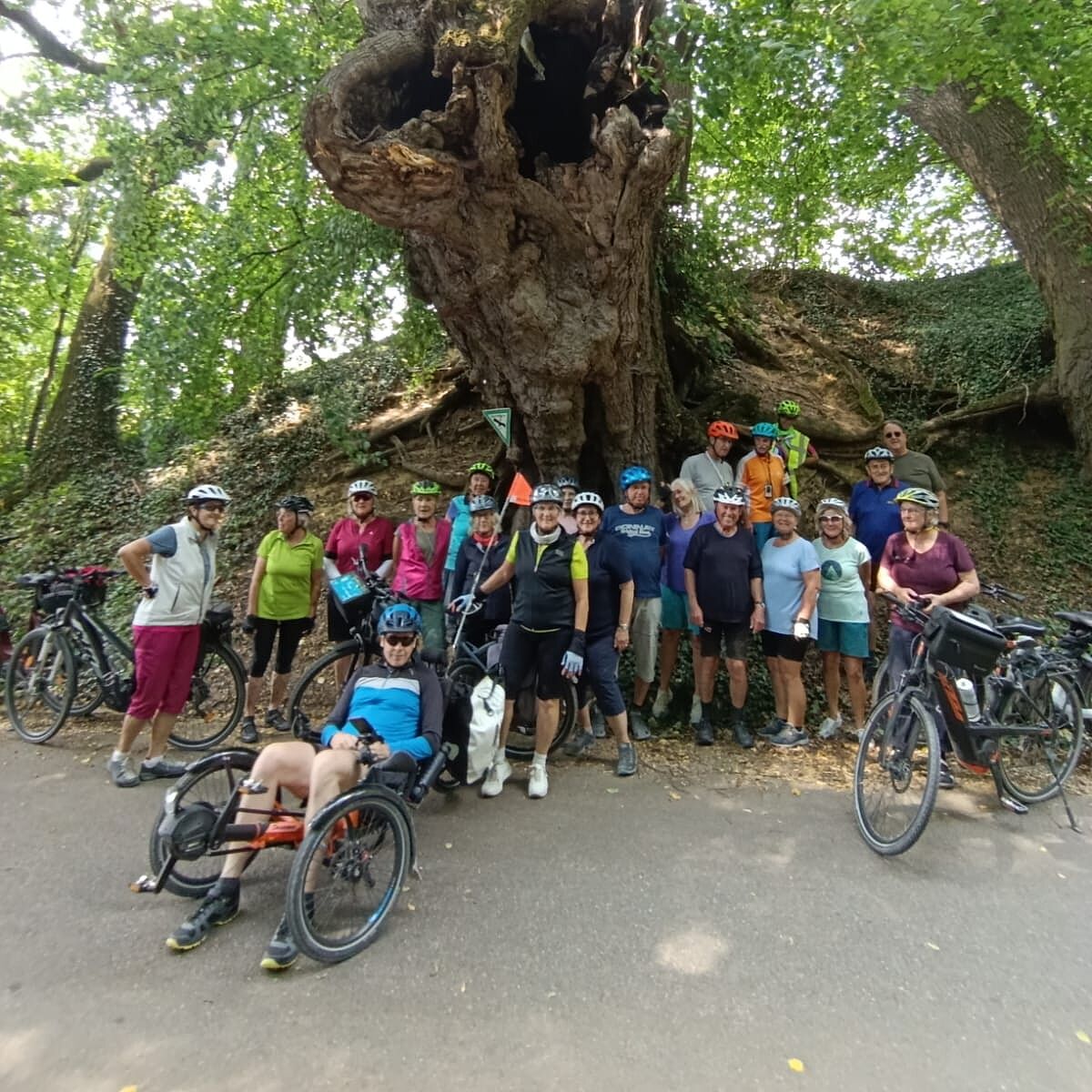 Gruppenbild an der Alten Linde in Marbach