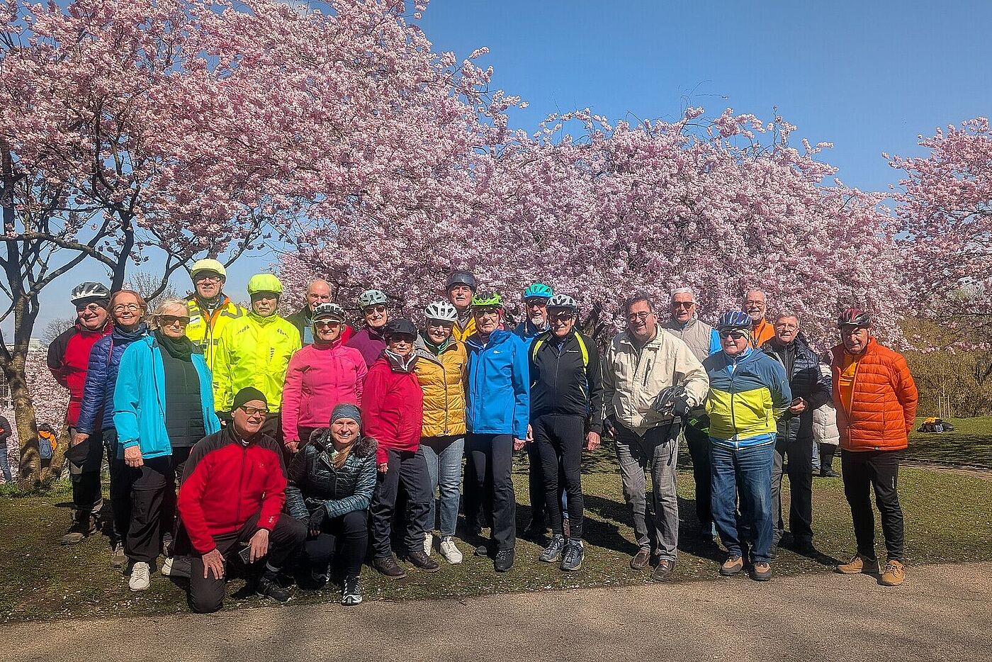 Kirschblüte im OlypiaparK