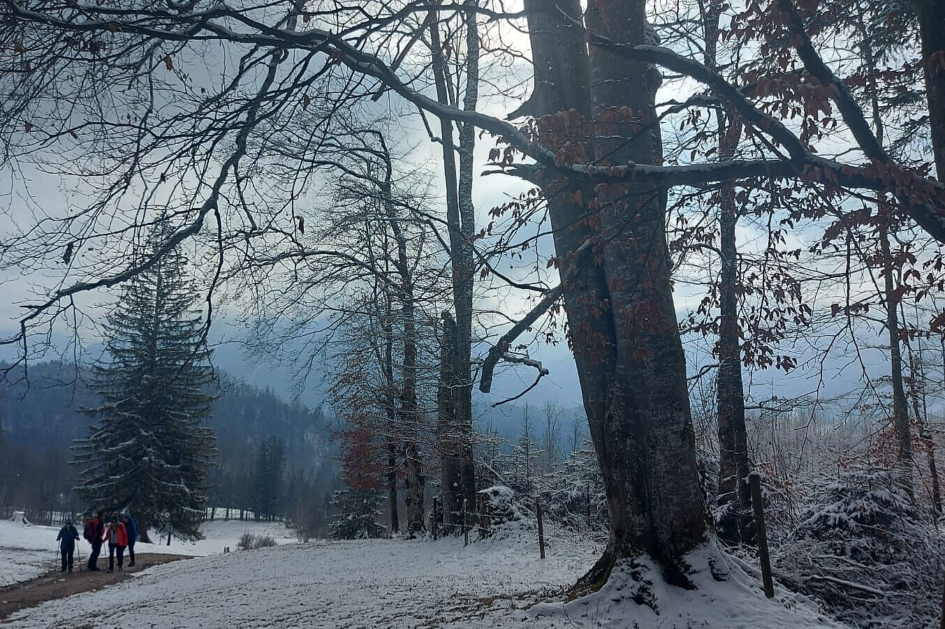 Winterwanderung mit Franz