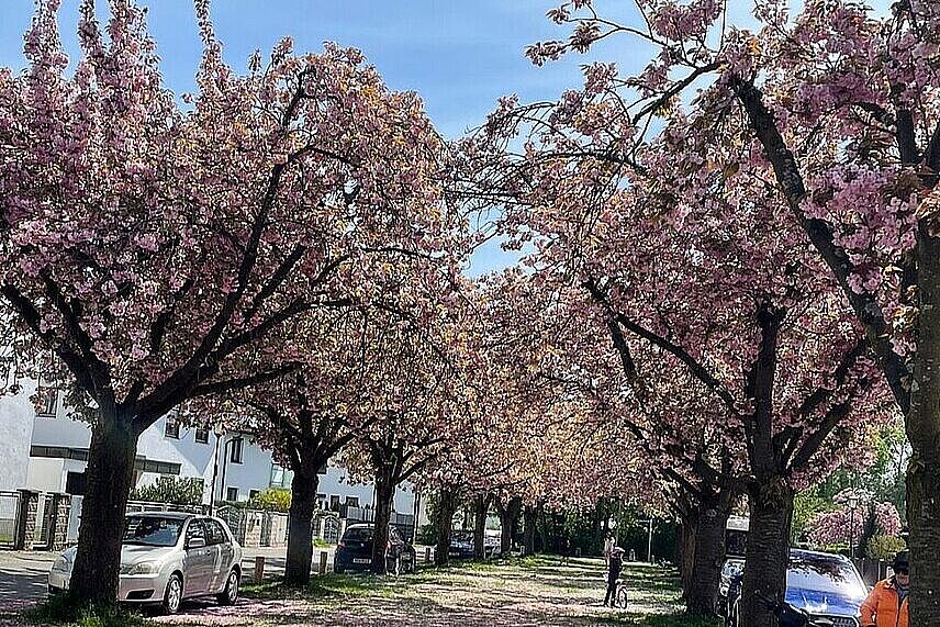 Frühlingstour zum Fasaneriesee 