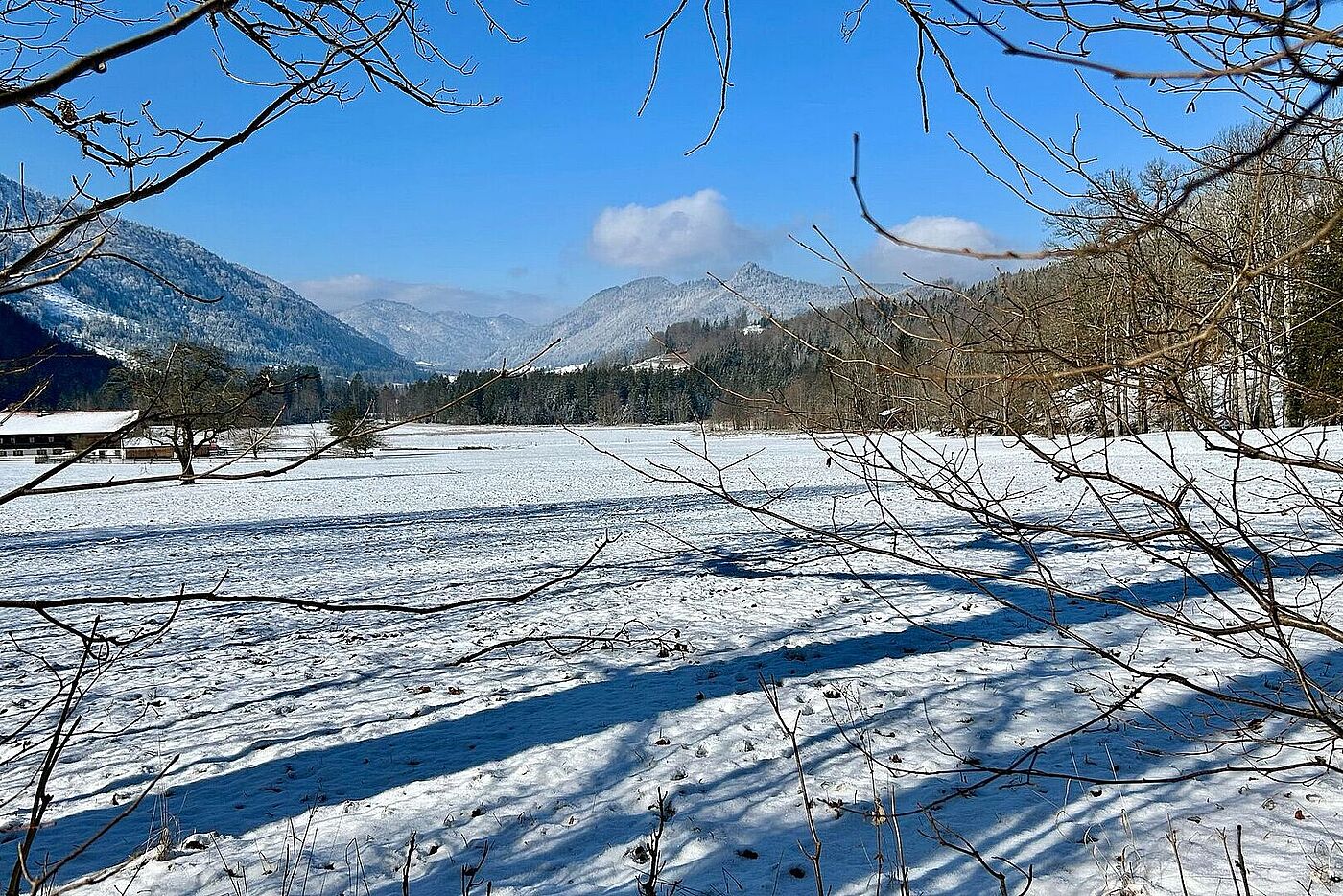 Winterwanderung mit Franz