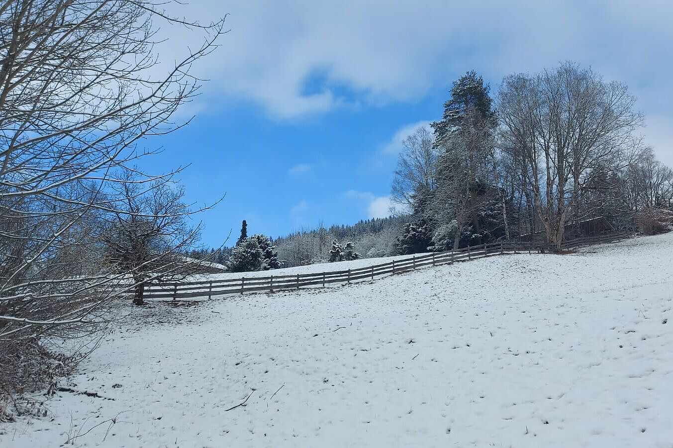 Winterwanderung mit Franz