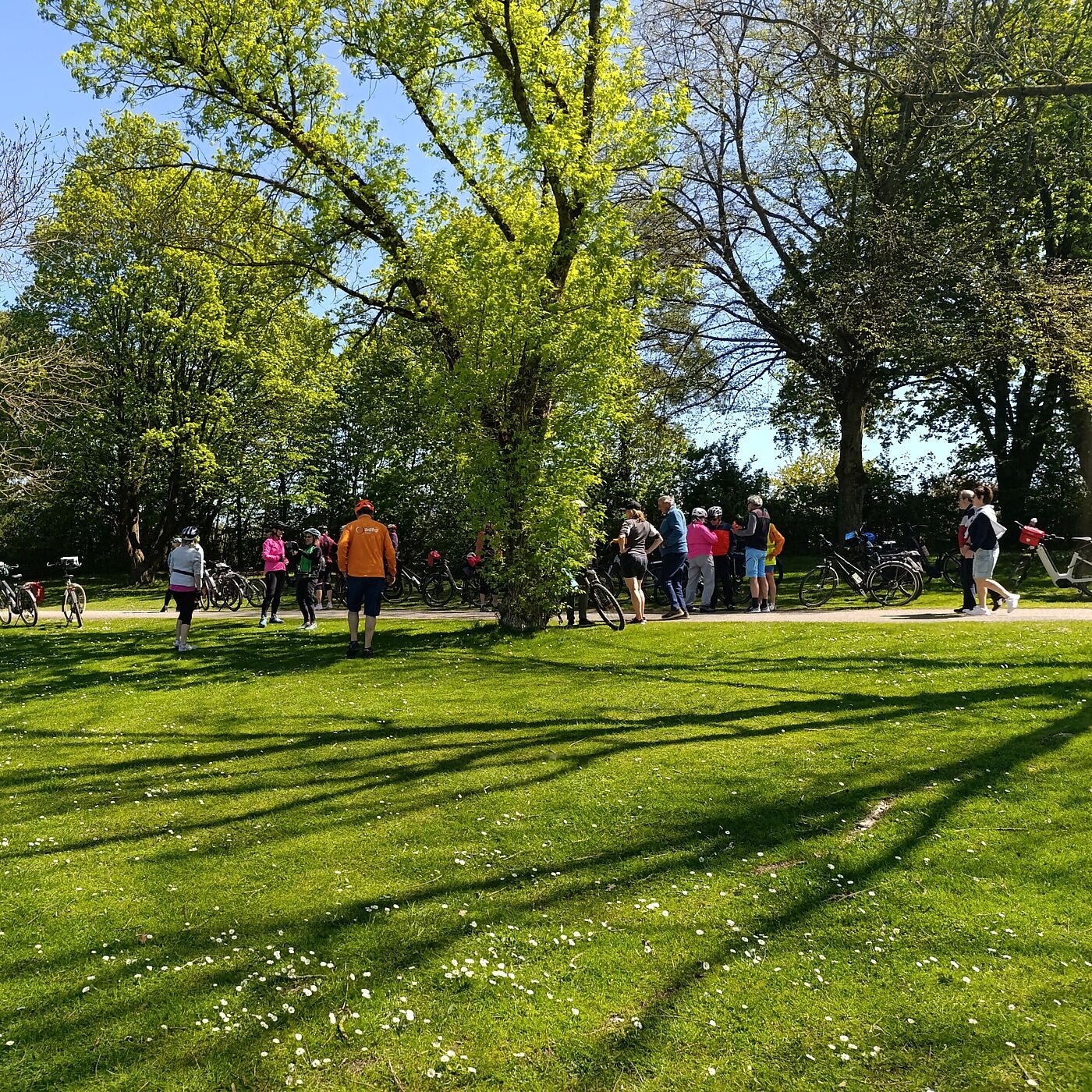 "Kirschblüten und Frühlingsgrün" am 26. April 2026