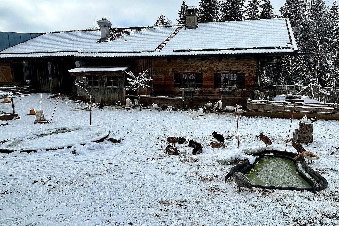 Winterwanderung mit Franz
