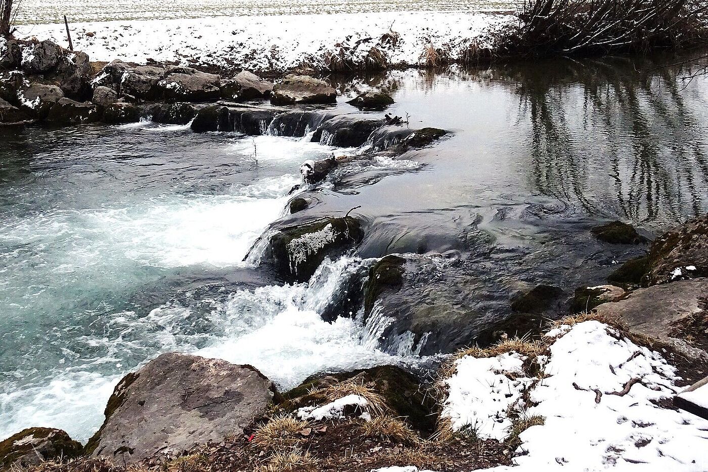 Winterwanderung mit Franz
