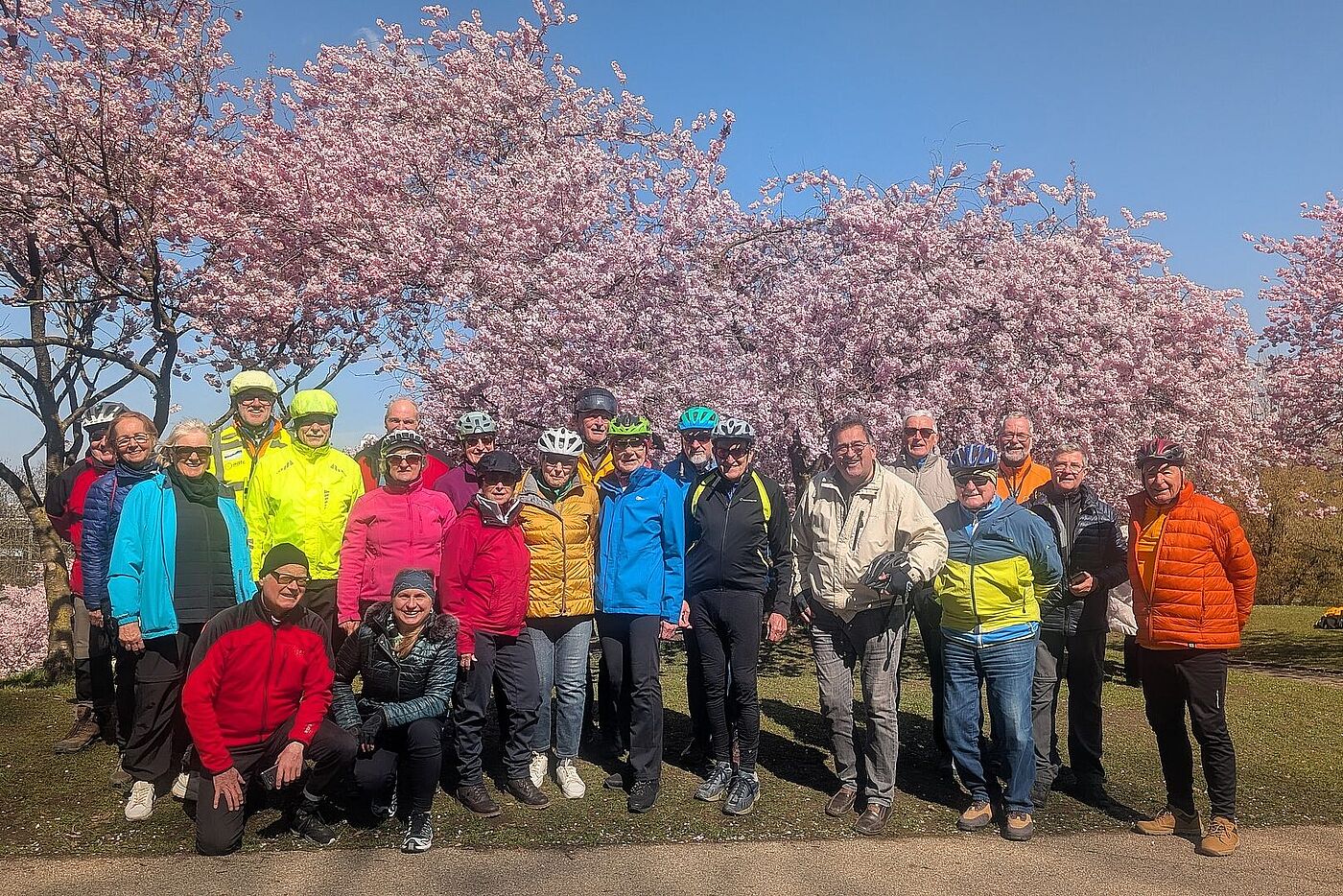 Kirschblüte im OlypiaparK
