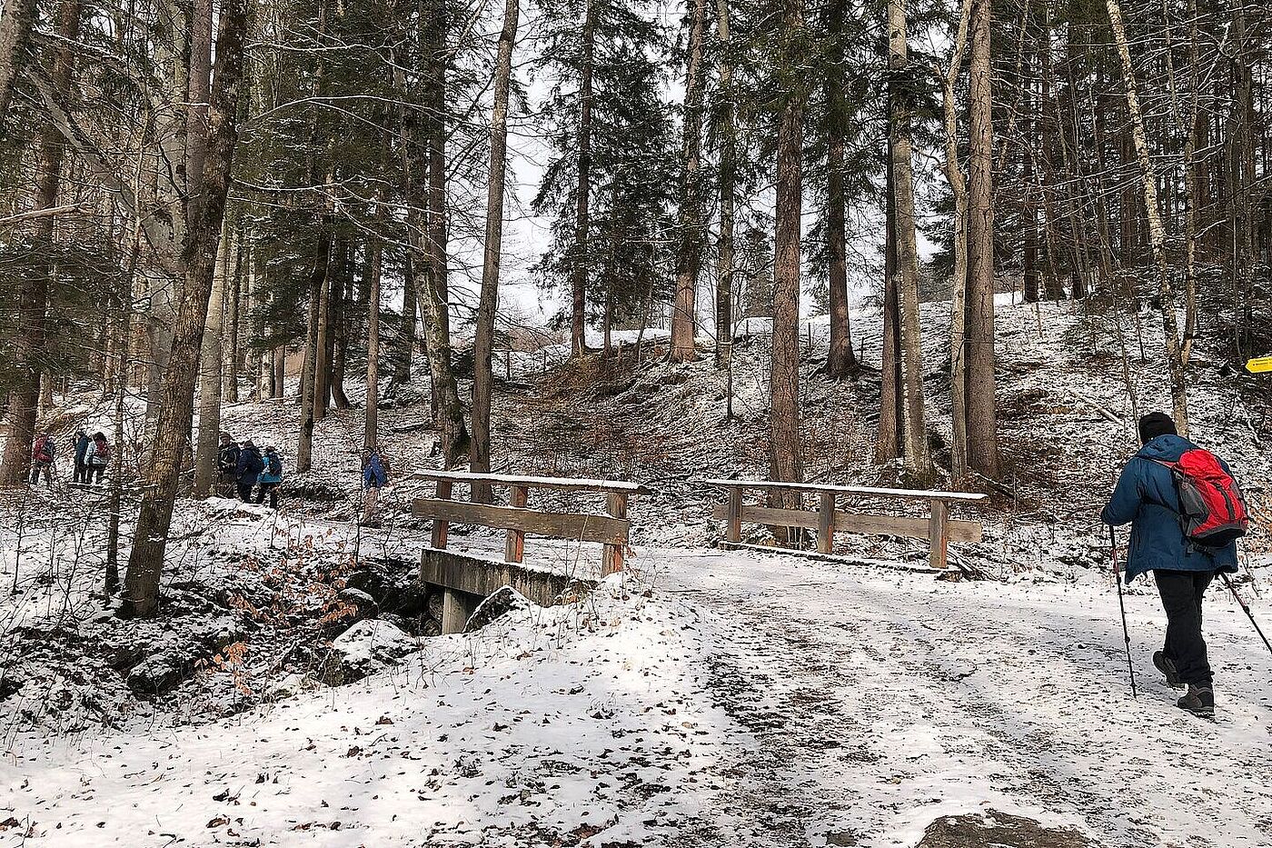 Winterwanderung mit Franz