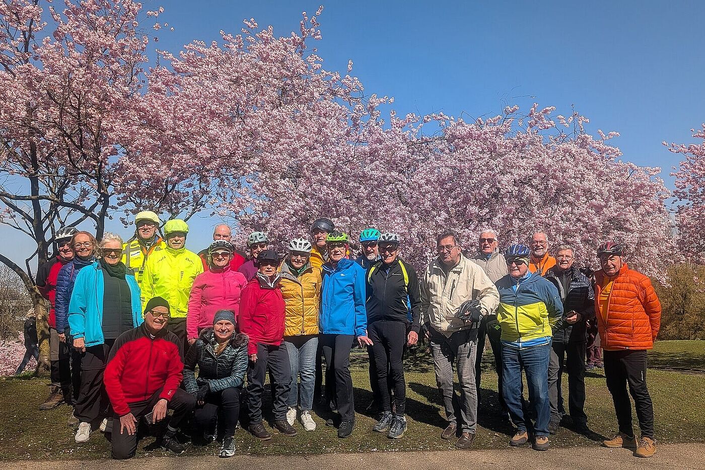 Kirschblüte im OlypiaparK
