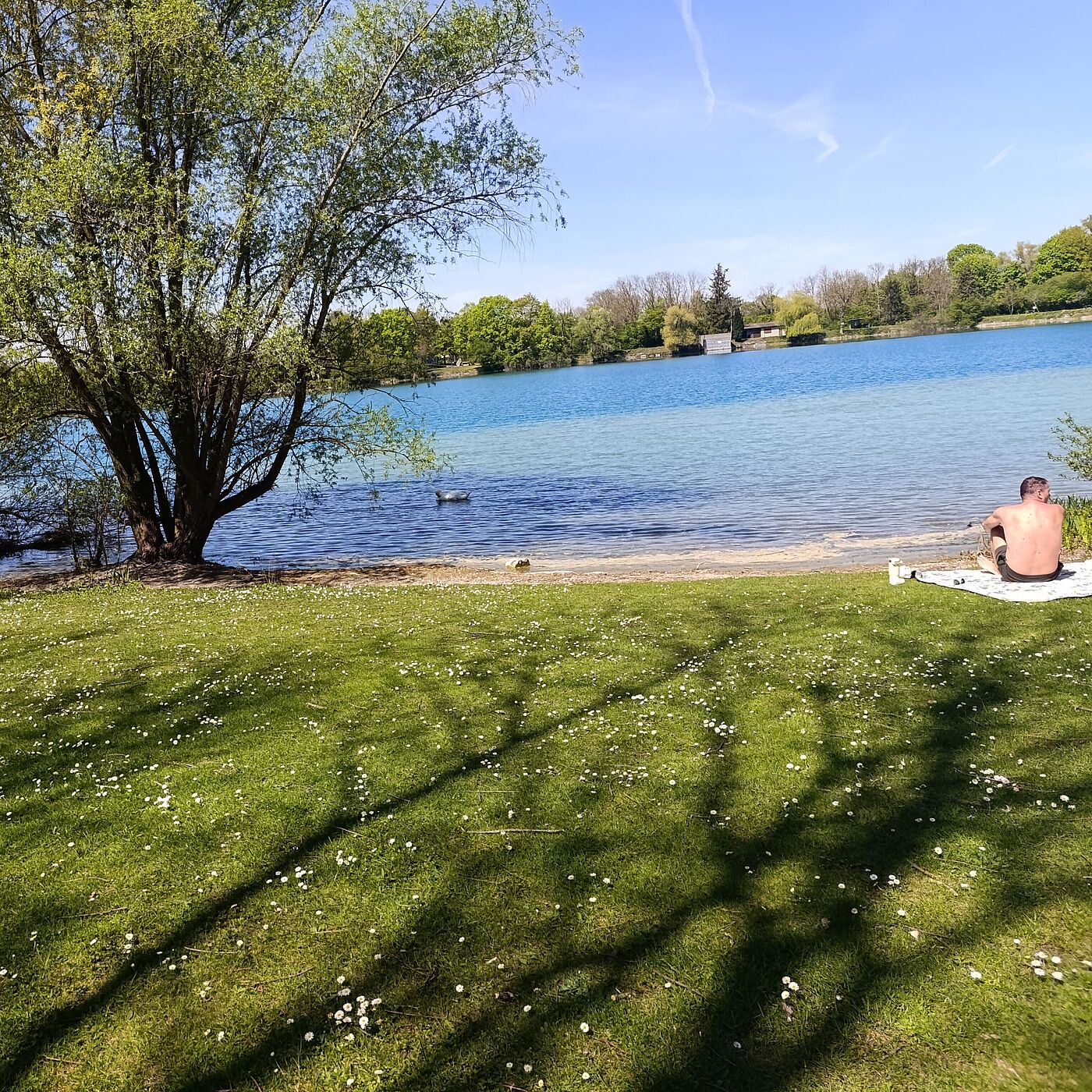 "Kirschblüten und Frühlingsgrün" am 26. April 2026