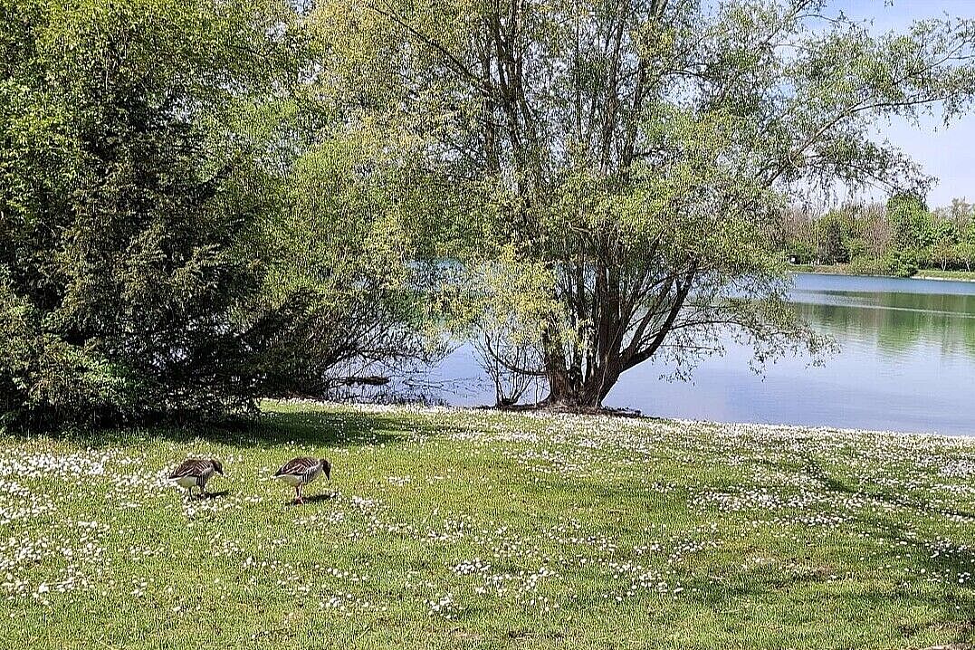 Frühlingstour zum Fasaneriesee 