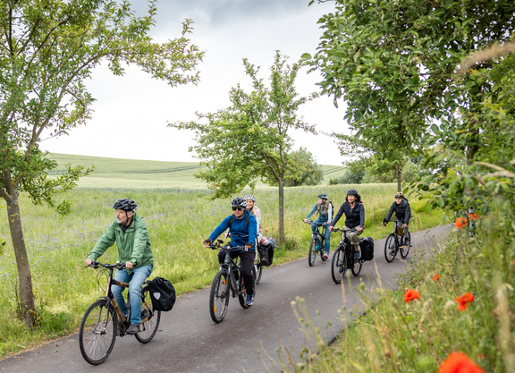 komoot Kooperation Gruppe Radfahrender auf Radweg zwischen blühenden Wiesen mit Logo ADFC und komoot