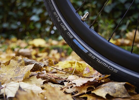 Laub auf der Fahrbahn Großaufnahme eines Fahrradreifens, der auf Laub steht.